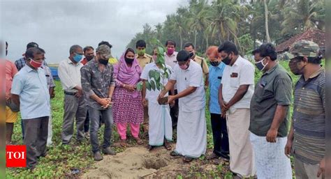 In a first, Bullet Wood saplings planted in state | Kochi News - Times ...