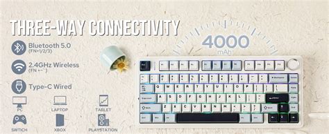 Amazon.in: Buy Aula F75 75% Wireless Mechanical Keyboard | Hot ...