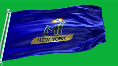 MI New York Flag 26234054 Stock Video at Vecteezy