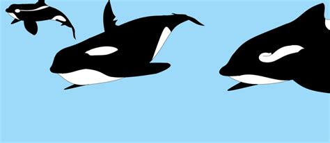 Image result for Dolphin Partner Optimization Algorithm
