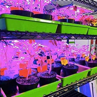 Buy Bootstrap Farmer 1020 Trays, Green Extra Strength No Hole, 10 Pack ...