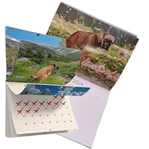 Dogs Pooping In Beautiful Places 2024 Calendar - Holiday Christmas Gag ...