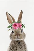 Image result for cartoon bunny with flower crown