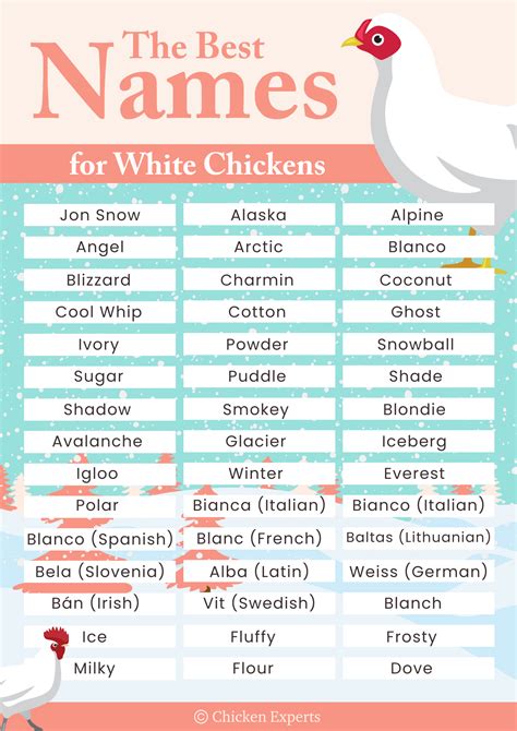 Names For Chickens – Chicken Names: The 700 Most Popular Names for ...