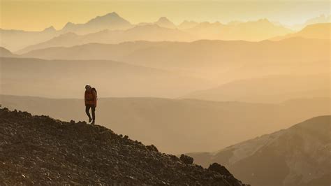 Wild Nature 的图像结果