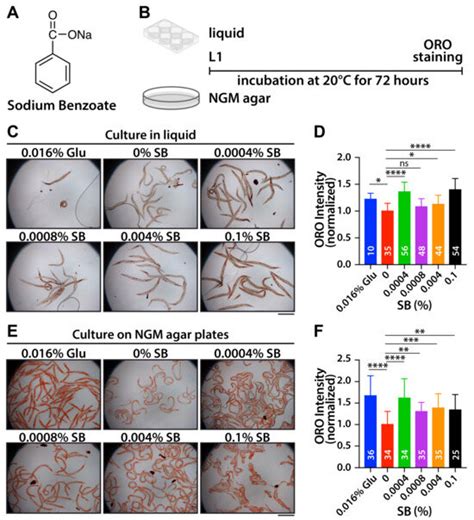 Sodium Benzoate Induces Fat Accumulation and Reduces Lifespan via the ...
