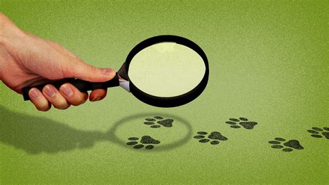Diphtheria-like illness found in Utah and Colorado pet owners - Axios Salt Lake City