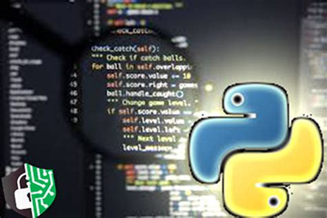 Image result for Python لغه