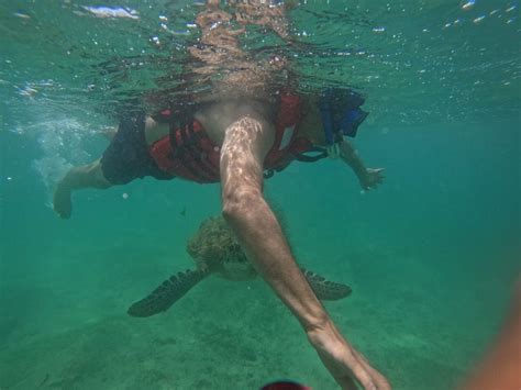 TURTLE POINT (2026) All You Need to Know BEFORE You Go (with Photos ...