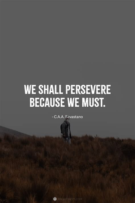91 Perseverance Quotes on Why Giving It Your All is the Only Way ...