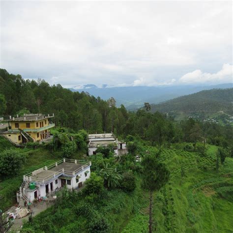 KASAUNI TEA ESTATE (2026) All You Need to Know BEFORE You Go (with ...