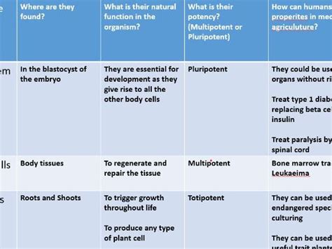 Stem Cells Free Science Lessons 的图像结果