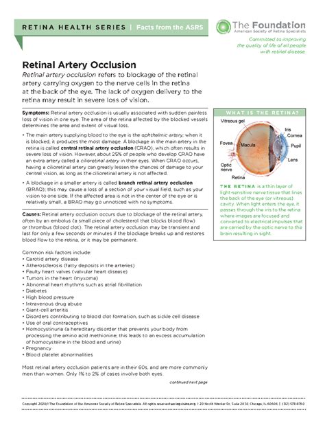 Retinal Artery Occlusion: Key Facts and Implications for Vision - Studocu