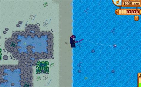 Stardew Valley Red Snapper: Expert Fishing Guide & Tips