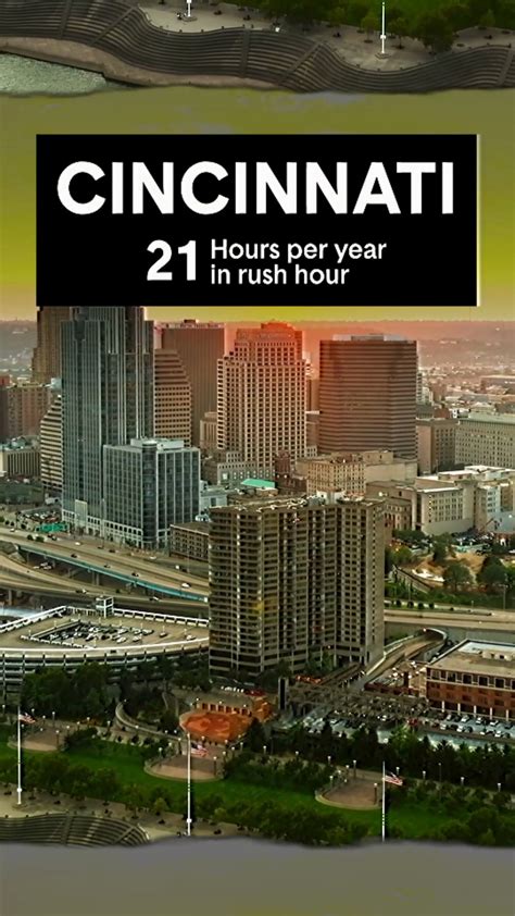 Image result for Zebra Compare Car Insurance