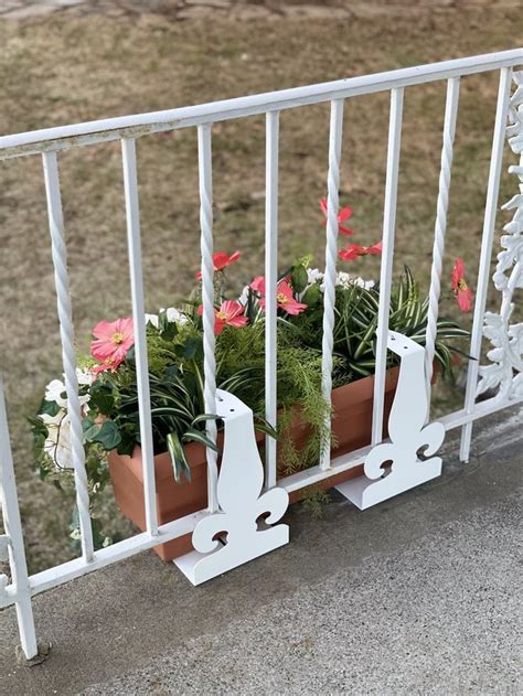 plant traps