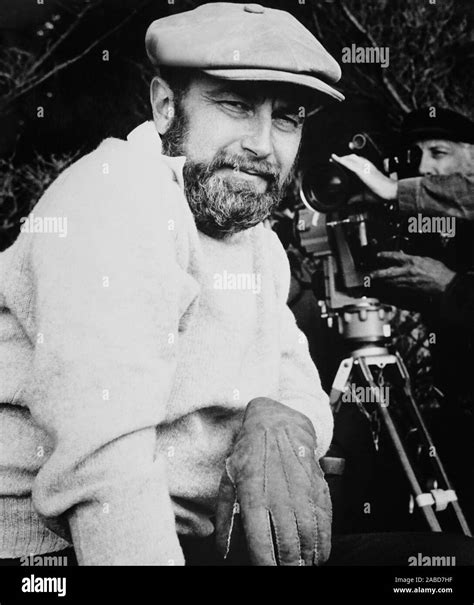 THE PROMISE, director Gilbert Cates, 1979, © Universal/courtesy Everett ...