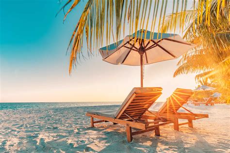 The Beauty of the Summer Months - Thrive Global