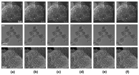 Microscopic Patterns 的图像结果