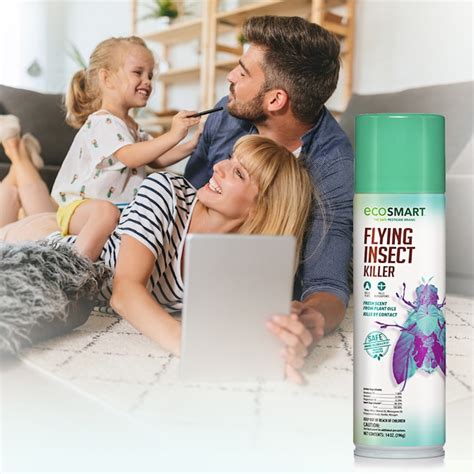 EcoSMART 14-fl oz Natural Insect Killer Aerosol (2-Pack) ECSM-33525 ...