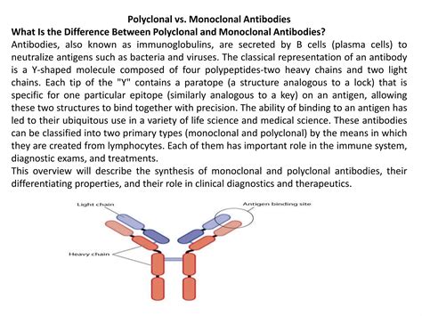 Monoclonal and polyclonal in diagnostics | PPTX