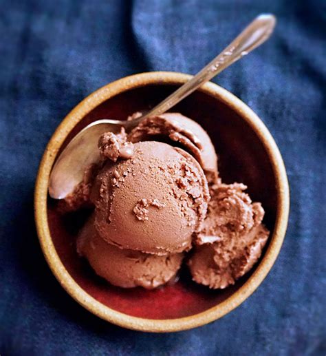 Homemade Vegan Chocolate Ice Cream Ninja Creami Recipe | Planted365