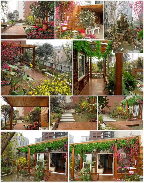 《花园集·庭院景观设计》|看完这本庭院书，你的花园也可以很美