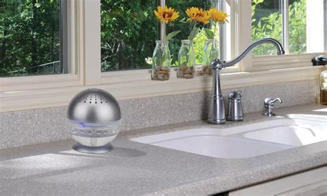 EcoGecko Diffuser and Humidifier | Groupon Goods
