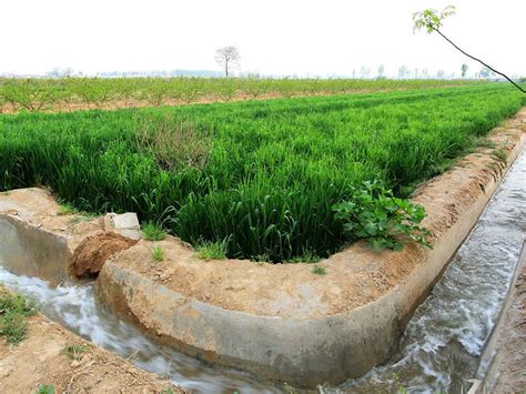 农业灌溉图片-农田灌溉机正在进行田地灌溉素材-高清图片-摄影照片-寻图免费打包下载