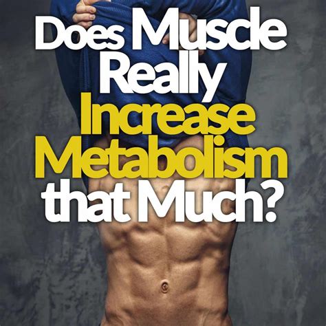 Does Muscle Really Increase Metabolism That Much?