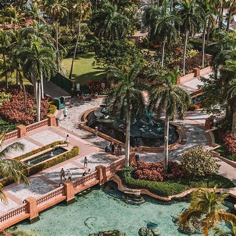 Help Environment in Local Communities 的图像结果