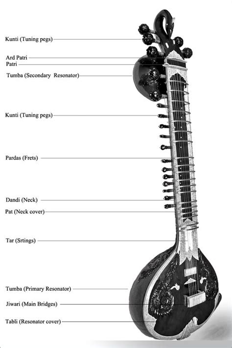 Image result for Basic Sitar