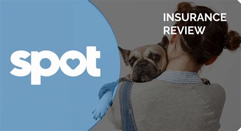 Spot Pet Insurance Review 2026: Pricing, Coverage & FAQ | Hepper Pet ...