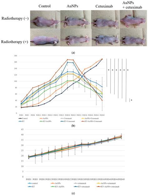 Gold Nanoparticles Enhance the Tumor Growth-Suppressing Effects of ...