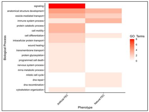 Genome-Wide Analysis of Sheep Artificially or Naturally Infected with ...