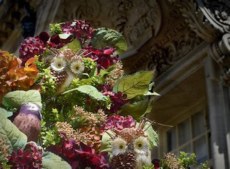 Christmas at Castle Hill: A Nod to Nature, 290 Argilla Road, Ipswich ...