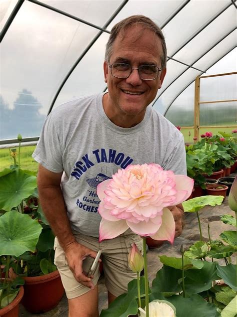 BeGrin Pink Lotus Flower Live Plant Tuber Bulb Nelumbo nucifera Outdoor ...