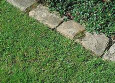 pave de bordure pelouse la pose d une bordure en pav 233 s pour d 233 limiter une all 233 e pave de bordure pelouse la pose d une bordure en pav 233 s pour d 233 limiter une all 233 e