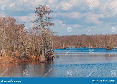 North Carolina Beautiful Lake Landscape with Trees Stock Photo - Image ...