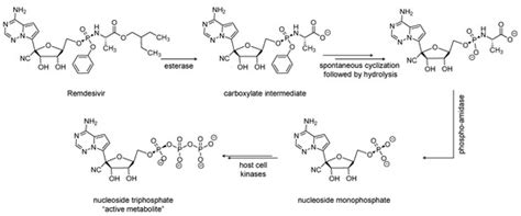 Potential Anti-SARS-CoV-2 Therapeutics That Target the Post-Entry ...