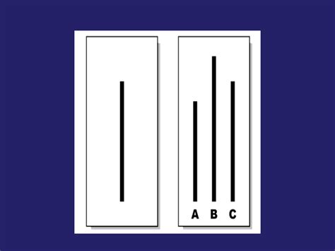 Asch Conformity Experiments 的图像结果