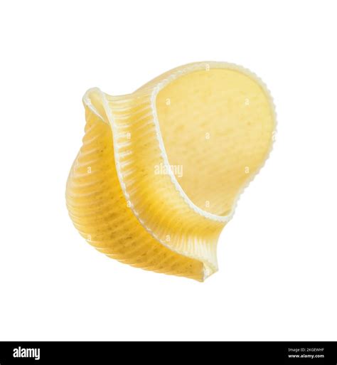 Raw short-cut pasta shell isolated on white Stock Photo - Alamy
