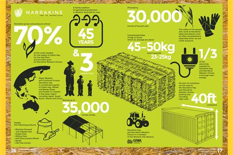 Graphics Example 的图像结果