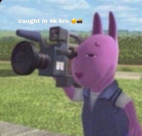 caught in 4k bro 😐📸 | Memes engraçado, Imagens aleatórias, Engraçado