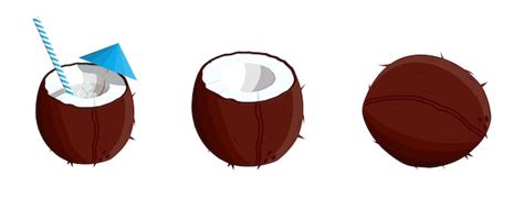 Page 7 | Coconut water isolation Vectors - Download Free High-Quality ...