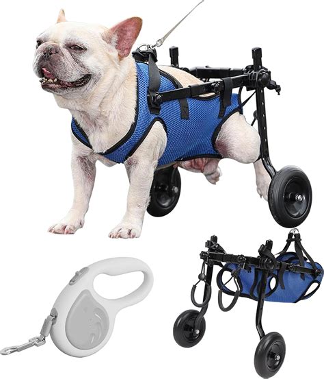 Amazon.com : Dog Wheelchair for Back Legs with Pet Traction Rope, Small ...