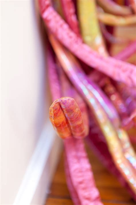 The Opposite of Silence — Leslie Fandrich