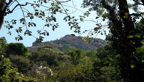 Wayanad in December: The Winter Trip You’ll Thank Us For
