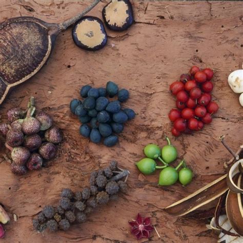 Unveil the Flavors of Down Under: A Journey Through Native Australian Cuisine