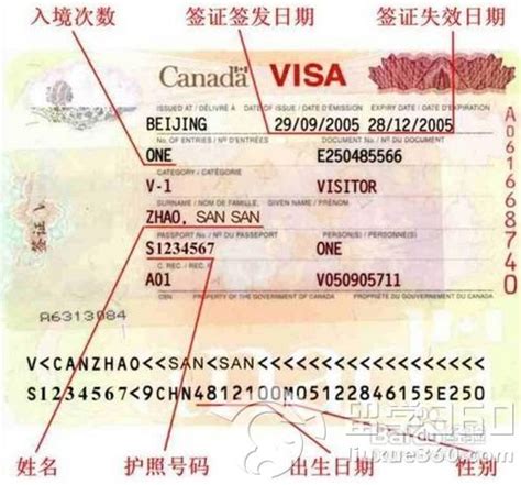 如何办理加拿大个人旅游签证 - 国外旅游 - 立思辰留学
